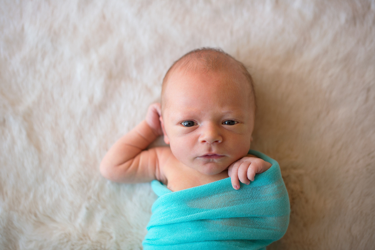 Finn blog sm 2