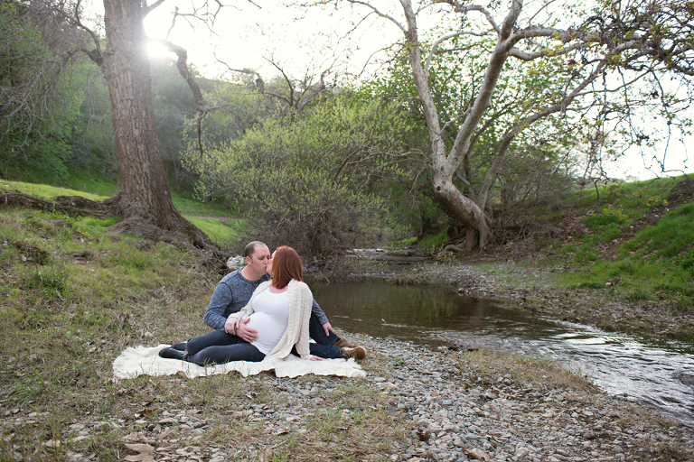 cupcake maternity renee shield photography