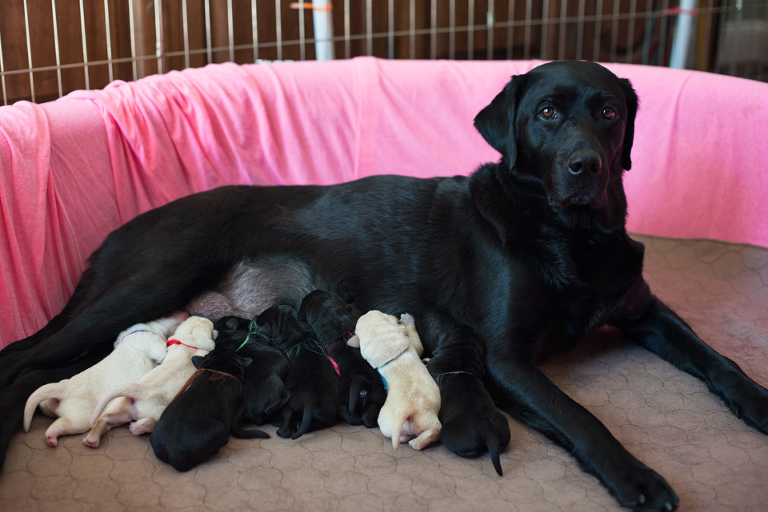 litter 3 1day 2 blog