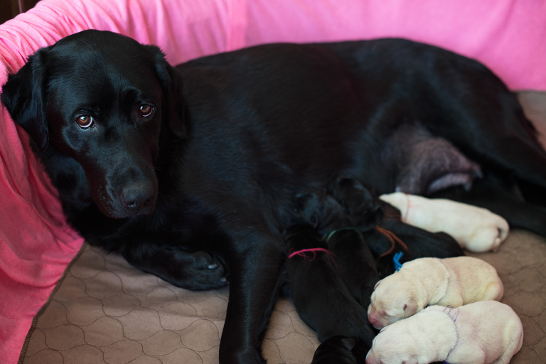 litter 3 1day 3 blog