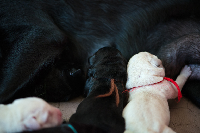 litter 3 1day 5 blog
