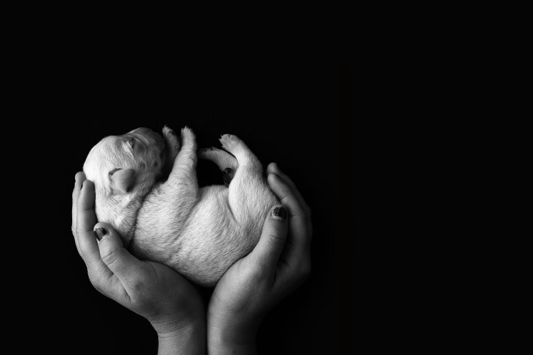 Katie hands BW 2 blog