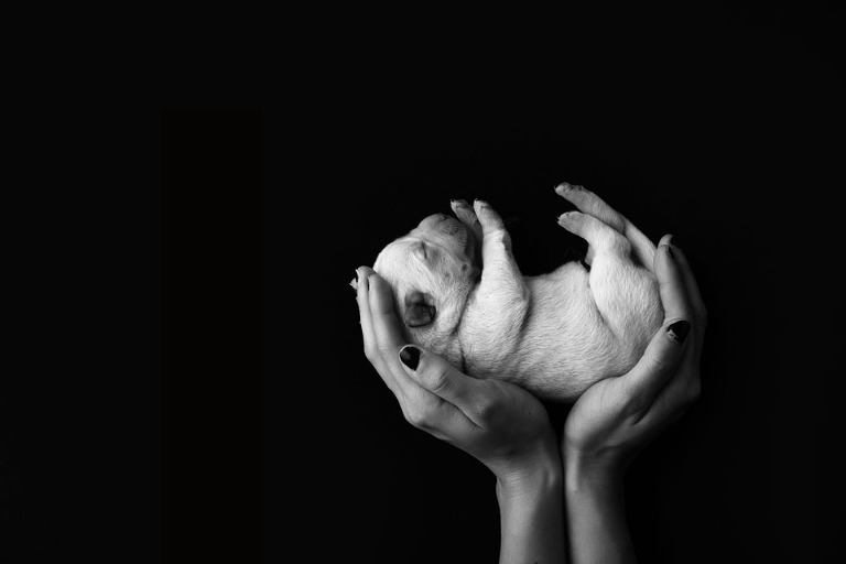 Kristen hands BW blog